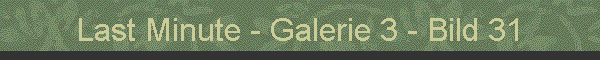 Last Minute - Galerie 3 - Bild 31